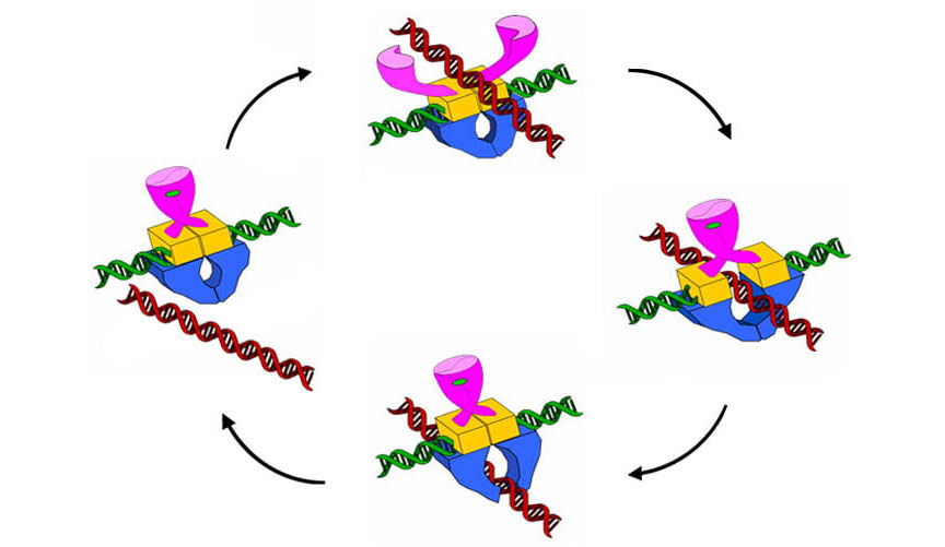 The two gate mechanism IC